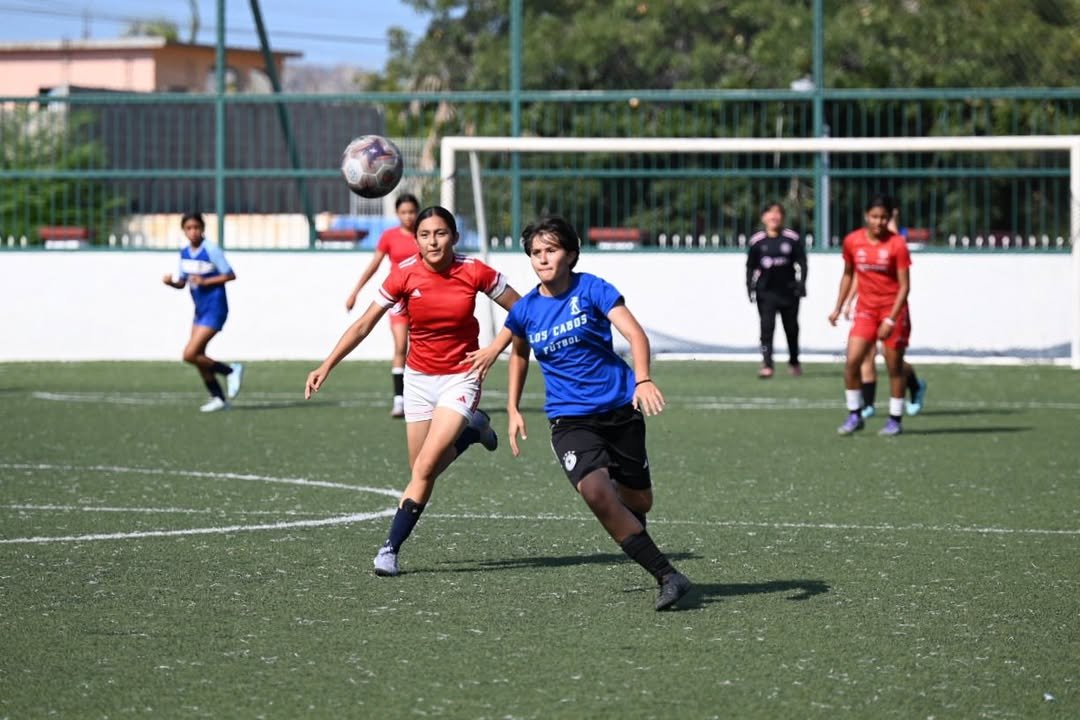 Imagen de publicación