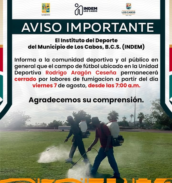 Imagen de Noticia