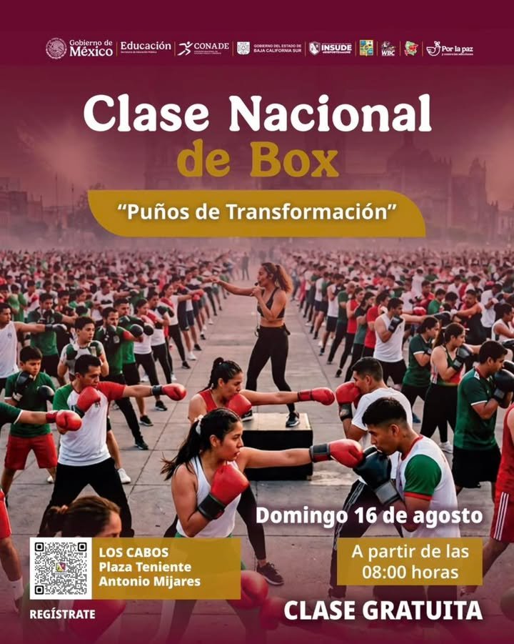 Imagen de Noticia