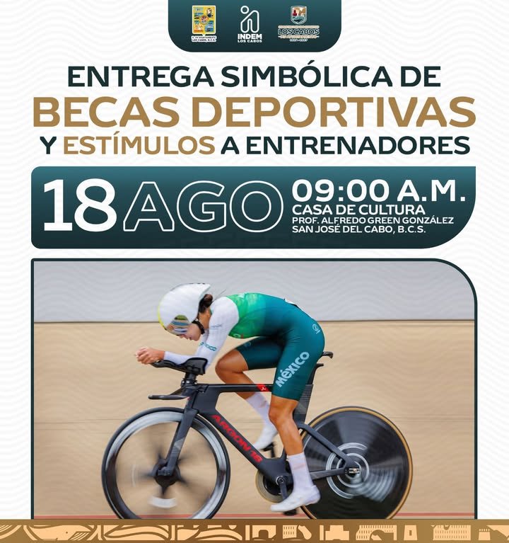 Imagen de Noticia